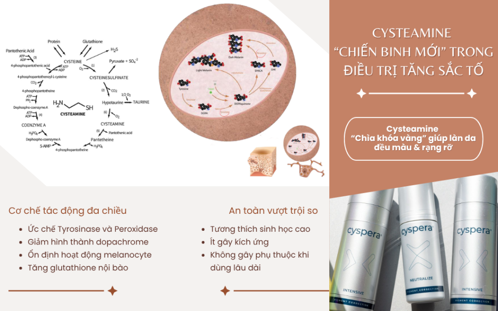 Chiến binh sáng giá trong điều trị tăng sắc tố