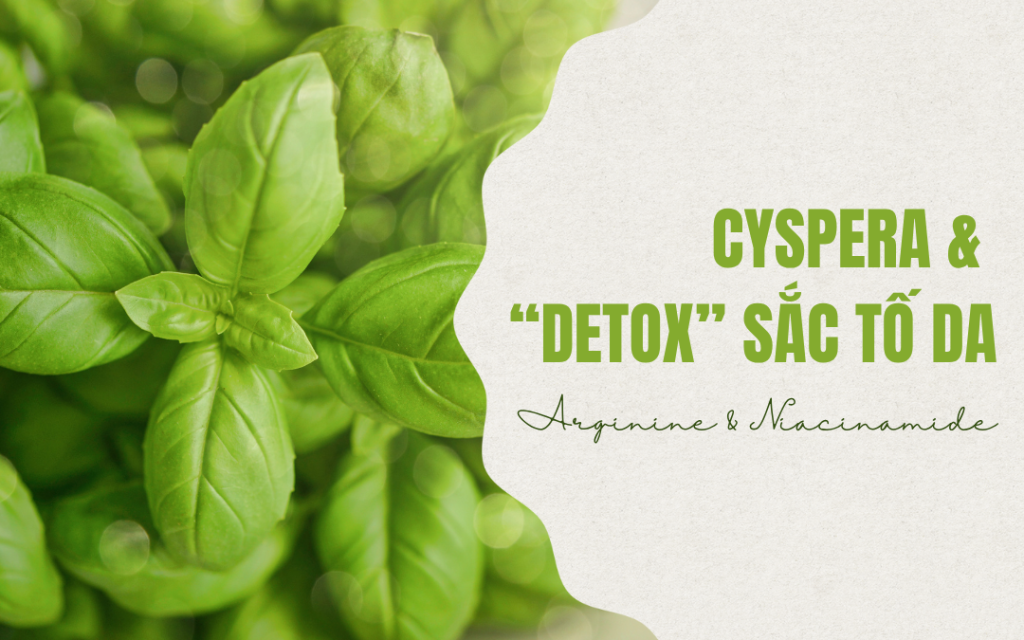 “Detox” sắc tố da