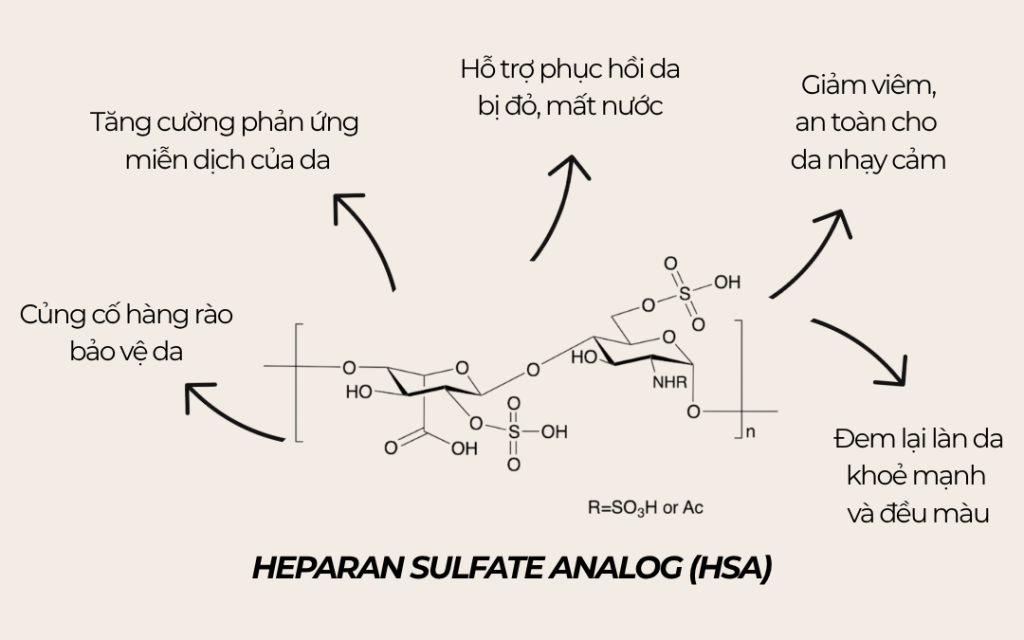 Hoạt chất độc quyền của Senté