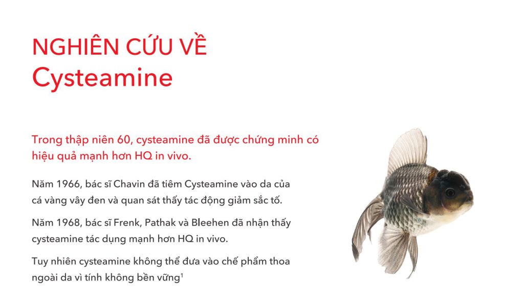 Lịch sử nghiên cứu cơ chế của Cysteamine trong điều trị nám - tăng sắc tố