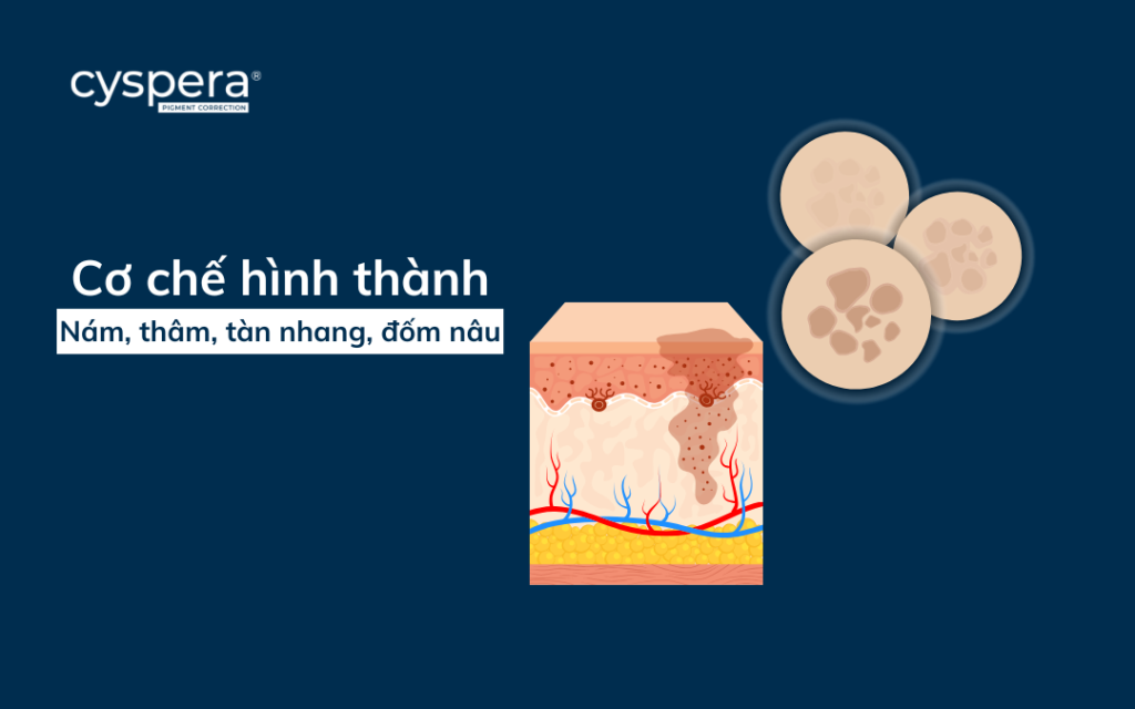 Hiểu rõ về cơ chế hình thành nám